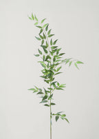 Fake Plants Italian Ruscus Branch - 49"