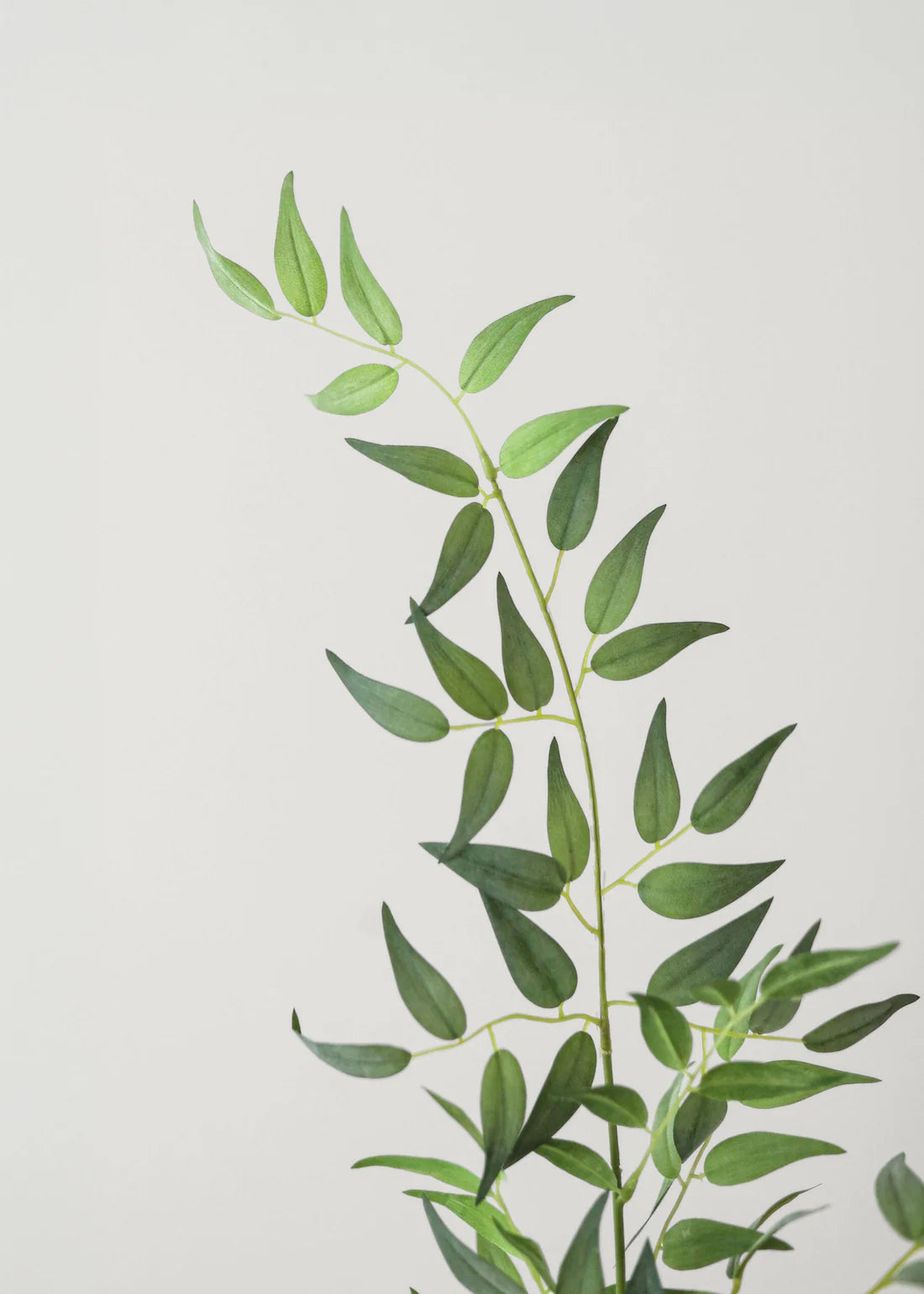Fake Plants Italian Ruscus Branch - 49"
