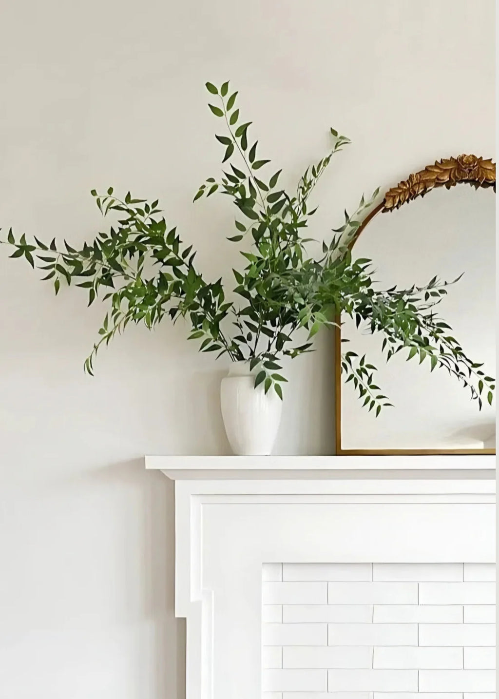 Fake Plants Italian Ruscus Branch - 49"