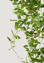 Deluxe Artificial Plants Hanging Tradescantia Houseplant- 41"