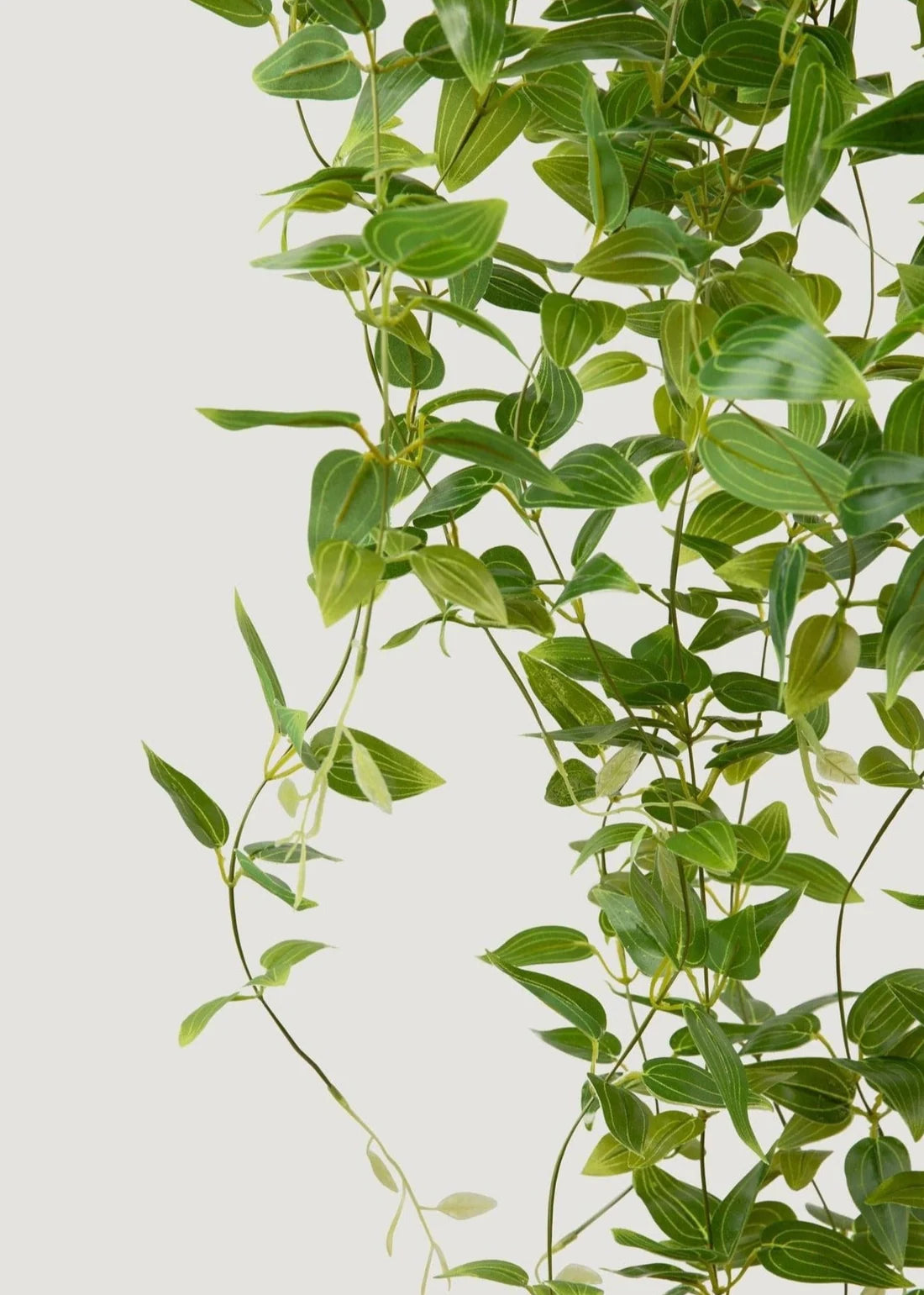 Deluxe Artificial Plants Hanging Tradescantia Houseplant- 41"